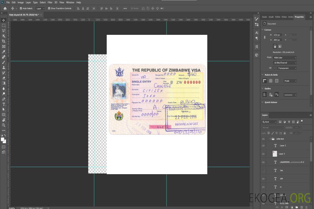 Visa ZIMBABWE template